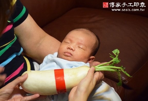 張寶寶(台中太平區到府嬰兒寶寶滿月剃頭理髮、免費到府嬰兒剃胎毛儀式吉祥話)。到府剃頭剃胎毛主持、專業拍照、DVD光碟、證書。★購買「臍帶章、肚臍章、胎毛筆刷印章」贈送：剃頭、收涎、抓周，三選一。2015.11.15 照片12